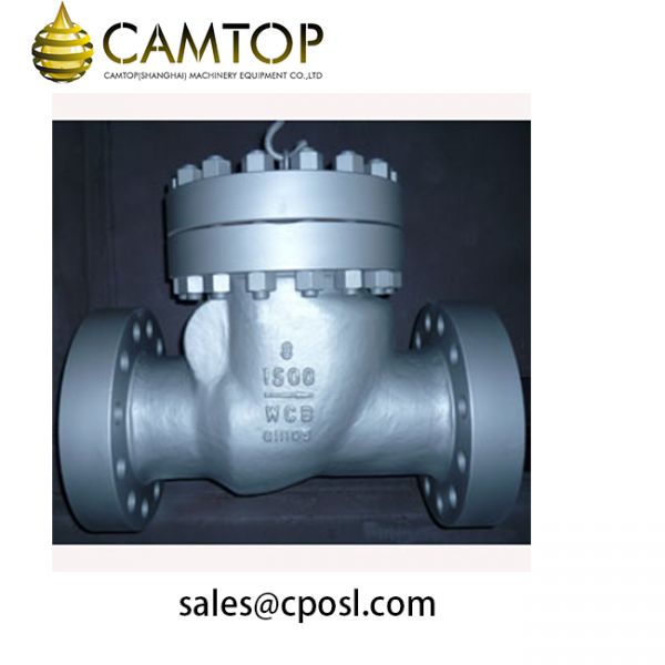 Monel Oxygen Check Valve, Single Disc Wafer Type, 1 Inch, CL150 CAMTOP