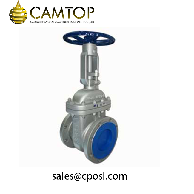 ASTM A216 WCB Gate valve, 6 Inch, A182 F6 Trim, Gray Painting CAMTOP