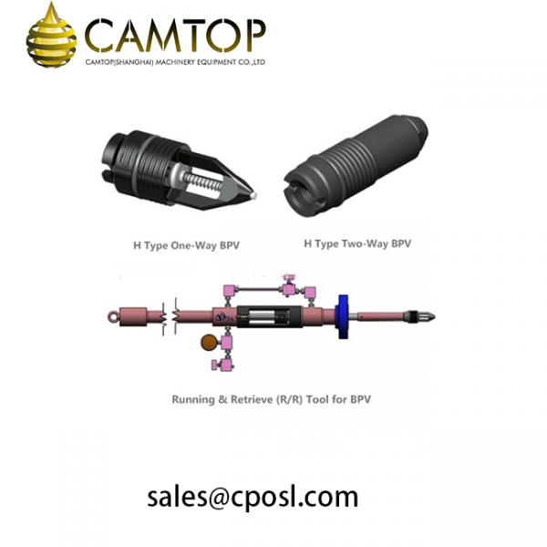 Wellhead Tools BPV Lubricator / Back Pressure Valve Lubricator CAMTOP