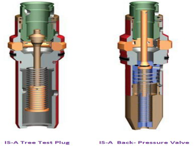 S-A-TREE-TEST-PLUG-AND-IS-A-BACK-PRESSURE-VALVE