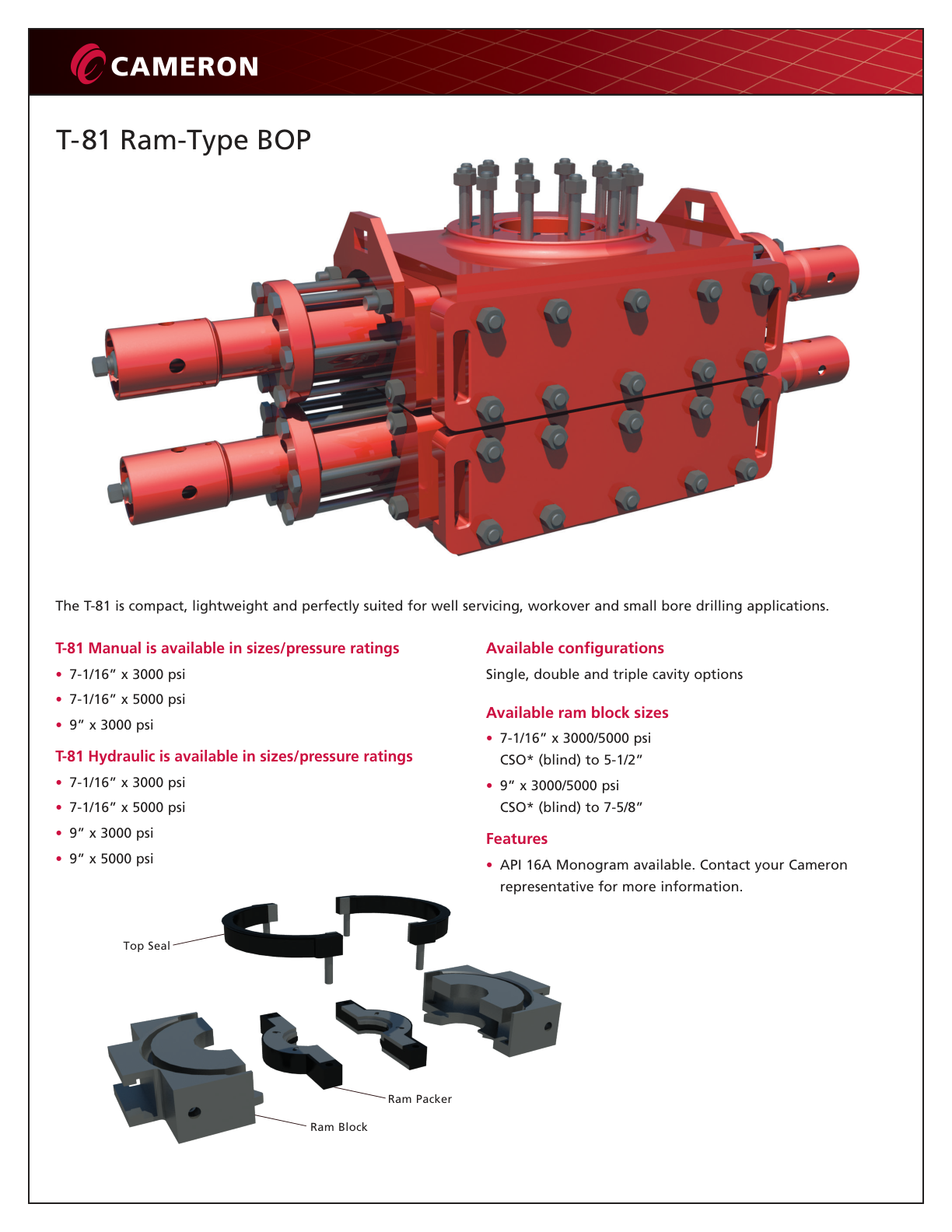 T-81 Ram-Type BOP assembly drawing showing ram block, top seal and ram packer components