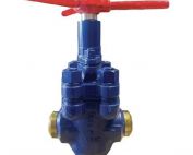 CAMTOP DEMCO DM Series Gate Valves 7500 PSI WP – 3 in. (80 mm — oilfield drilling equipment product image
